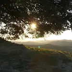 Fattoria Pieve A Salti Agroturismo *