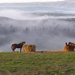 Agroturismo Fattoria Pieve A Salti Buonconvento