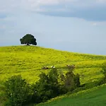 Fattoria Pieve A Salti