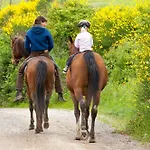 Fattoria Pieve A Salti Agroturismo Buonconvento
