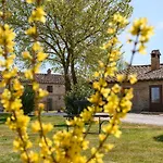 Fattoria Pieve A Salti *