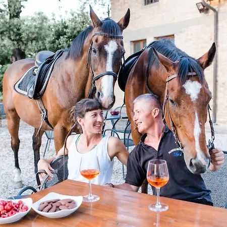 Fattoria Pieve A Salti Bauernhof