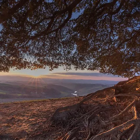 Fattoria Pieve A Salti Bauernhof *