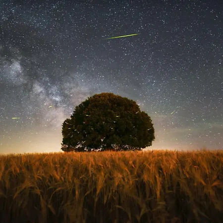 Fattoria Pieve A Salti 팜스테이 부온콘벤토