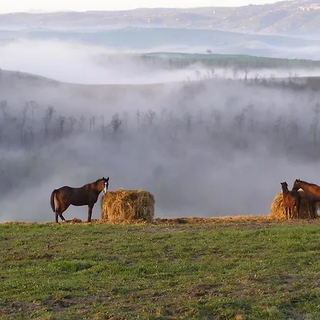 Bauernhof Fattoria Pieve A Salti Buonconvento