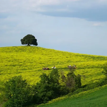 Fattoria Pieve A Salti