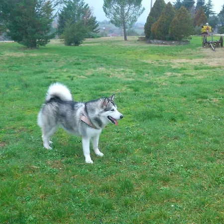 Fattoria Pieve A Salti 팜스테이