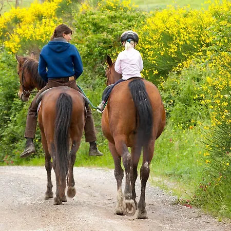 Fattoria Pieve A Salti 팜스테이 부온콘벤토