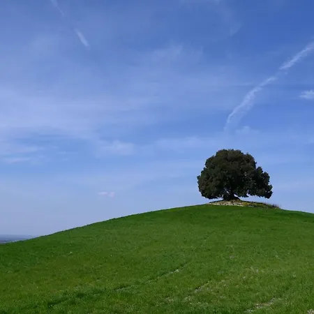 Fattoria Pieve A Salti * Buonconvento