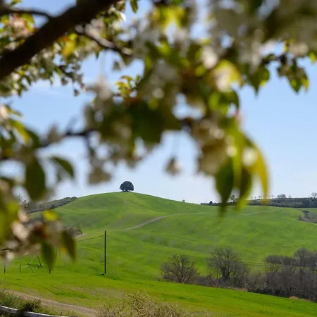 Fattoria Pieve A Salti Buonconvento