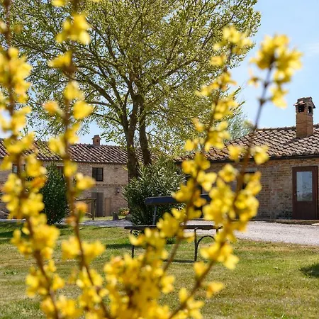 Fattoria Pieve A Salti *